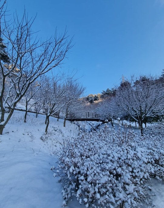 사본 -삼선산수목원(겨울)