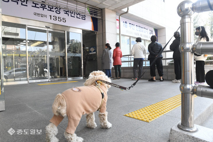 투표하는 주인을 기다리는 반려견