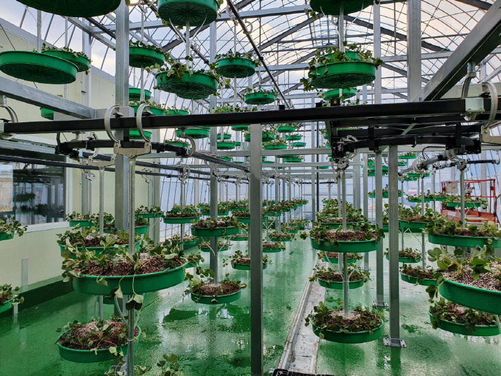 1. 스마트농업 실험 온실 (1)