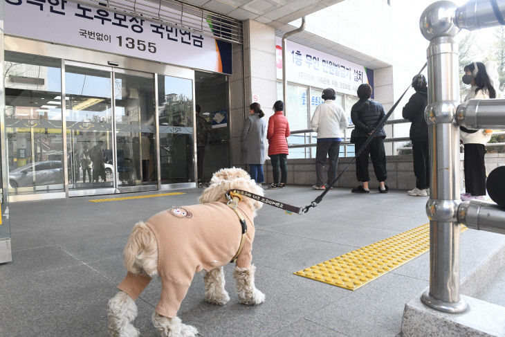 투표하는 주인을 기다리는 반려견