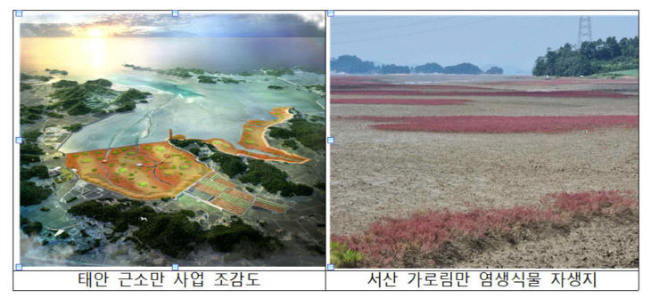 조감도