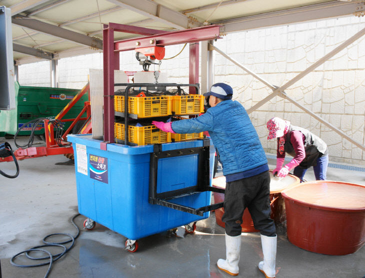 3. 볍씨 온탕소독 서비스