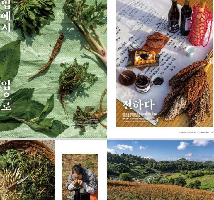 내셔널지오그래픽 트래블러 마을맛 체험