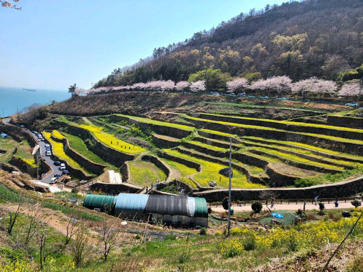 5. 남해군 남면 다랑논 사진