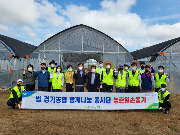 경기농협 함께나눔봉사단,  일손돕기 실시