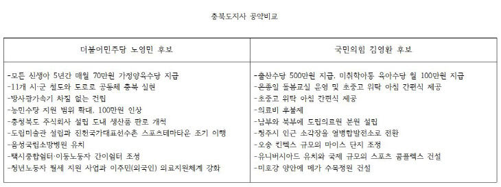 충북도지사 공약비교