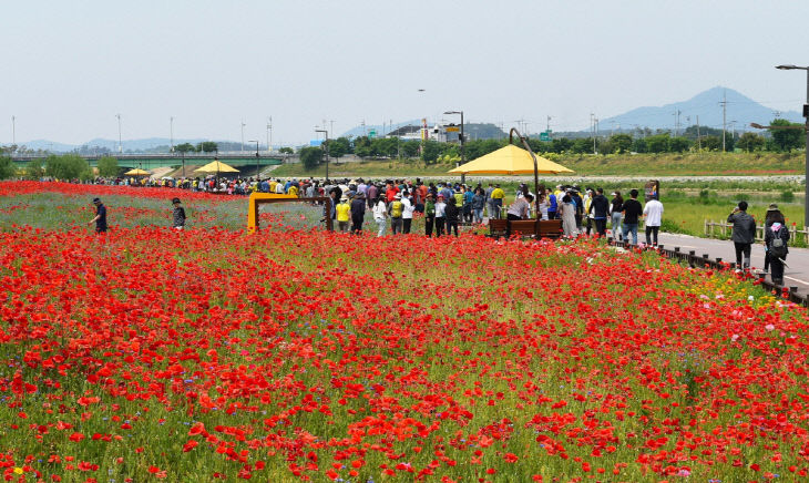 사진은 2019년 축제 현장