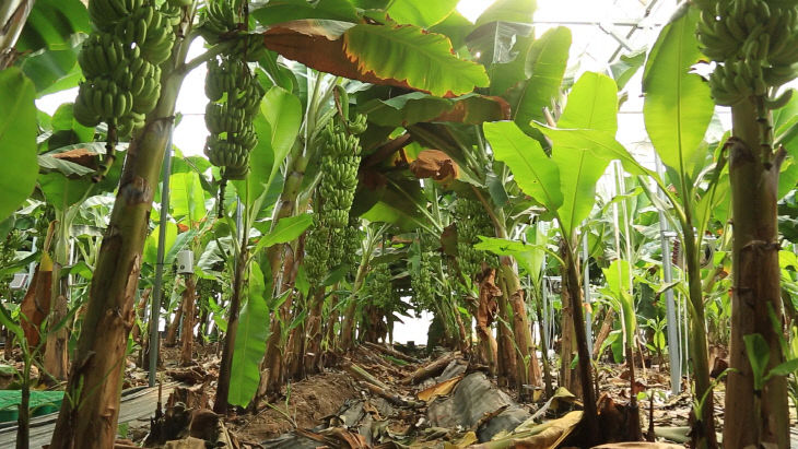 농업기술센터 4