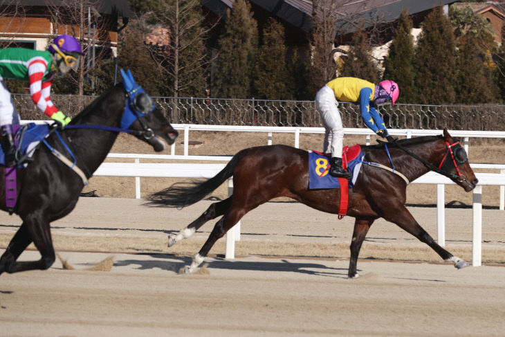 한국마사회, 100주년 기념 ‘제25회 코리안더비’ 개최