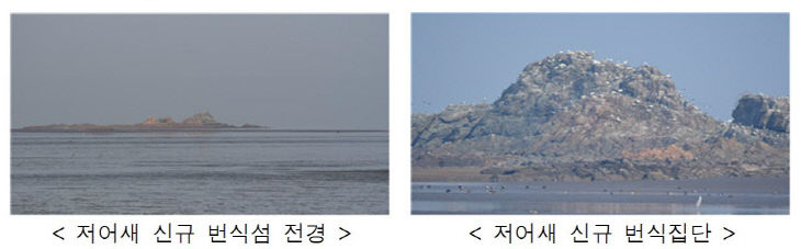 저어새2