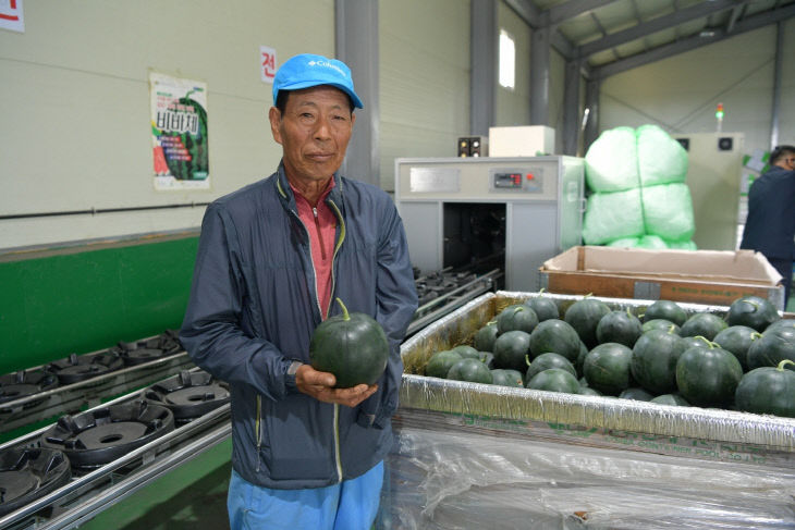 김종률 출하회원이 블랙망고수박을 들어보이는 모습