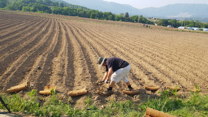 야자섬유 고랑댐 설치 작업