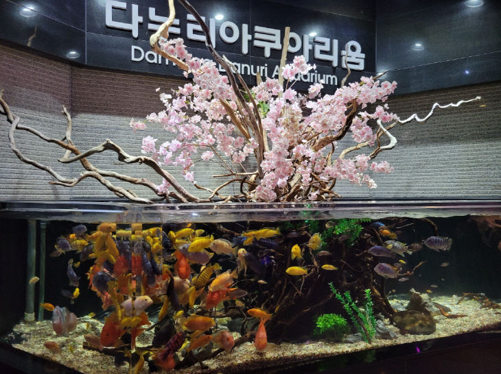 보도2)다누리아쿠아리움2