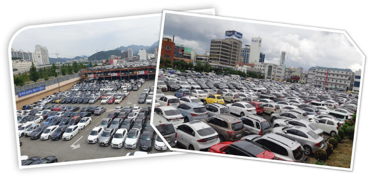 중고자동차매매업체 현장.사진=부산시 제공