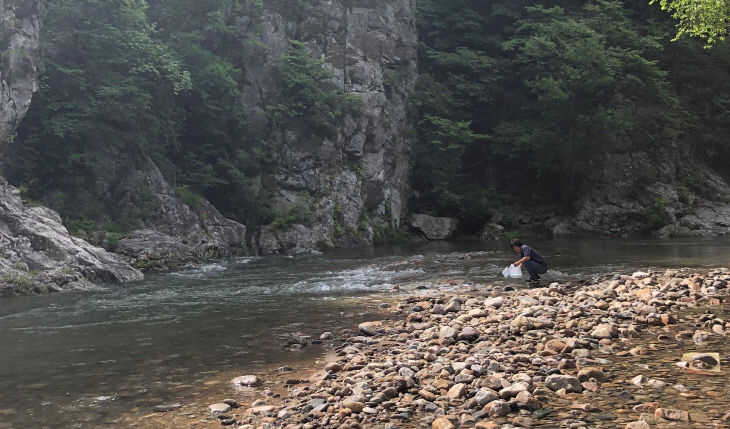 1. 봉화군, 물놀이 지역 수질조사 실시