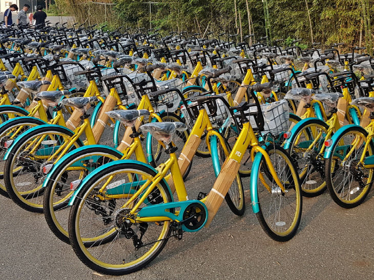 경주시, ‘타실라’시범운영