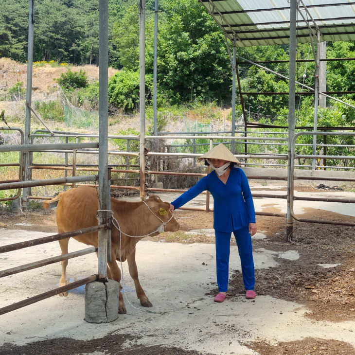 서천가족센터, 다문화가정에 암송아지 나눔사업 추진