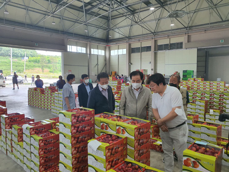 01의성군제공 농산물공판자 개장