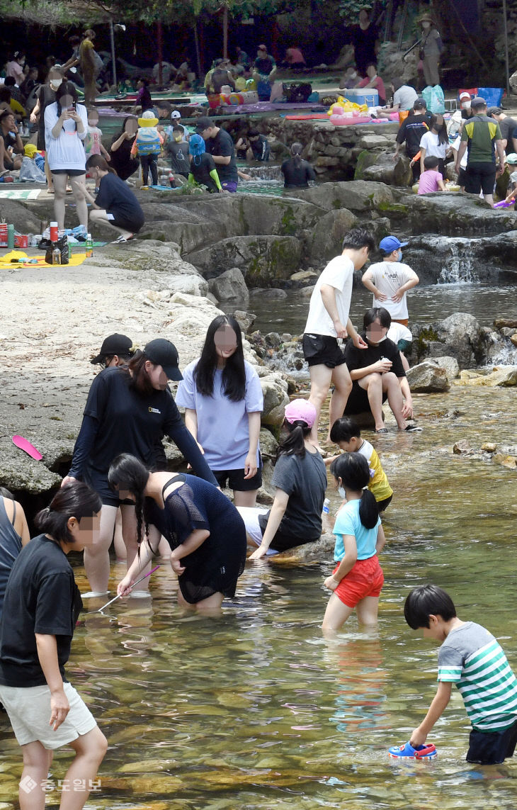 20220710-계룡산 계곡 인파3