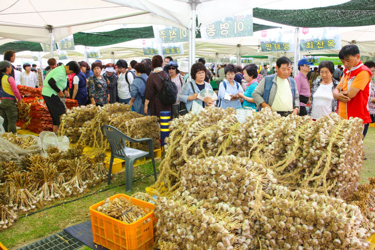 보도1)제13회 단양마늘축제2