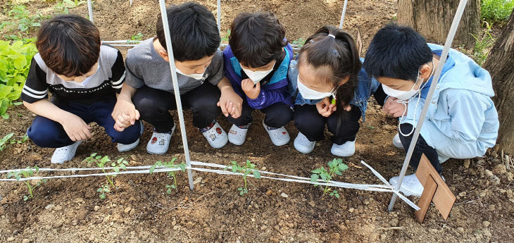 신탄진초-2학년-텃밭가꾸기