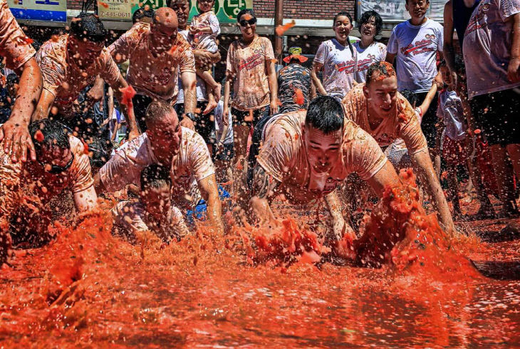 토마토축제