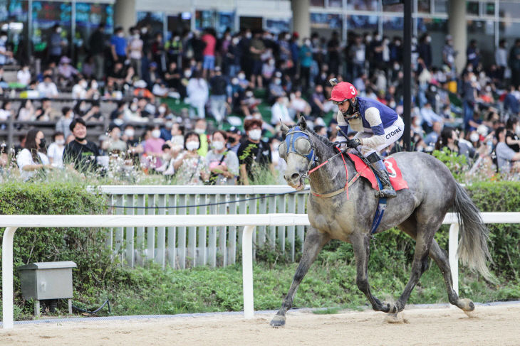 한국마사회 모르피스와 빅투아르기수