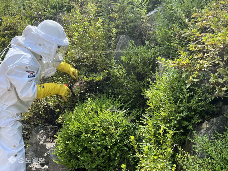 KakaoTalk_20220724_095255522_01