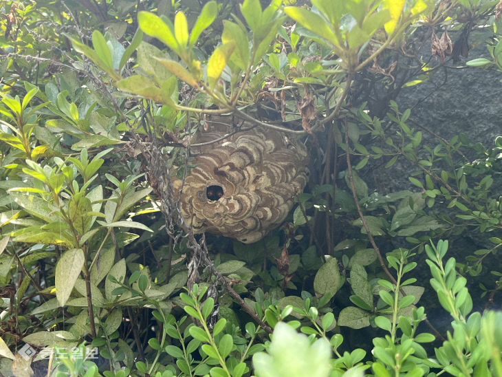 KakaoTalk_20220724_095255522_02