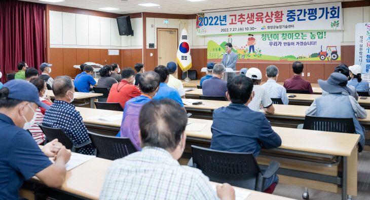 청양지역 고추 생육상황