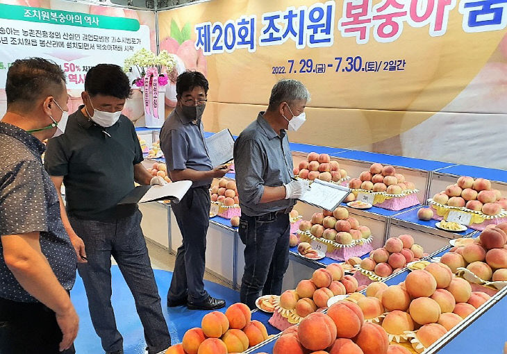 복숭아품평회_전문가 심사(농업기술센터)_1