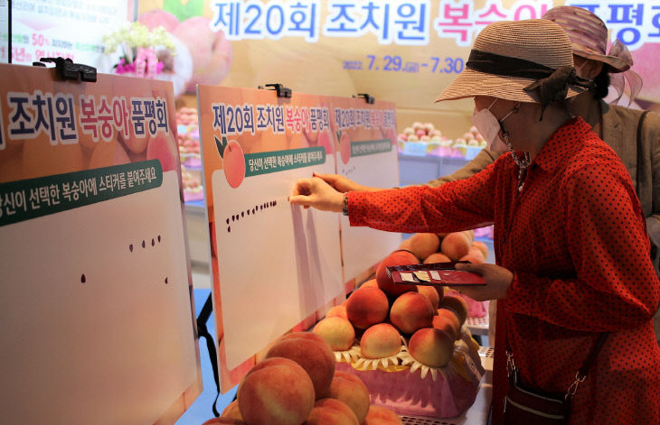 복숭아품평회_시민참여 심사(농업기술센터)_2