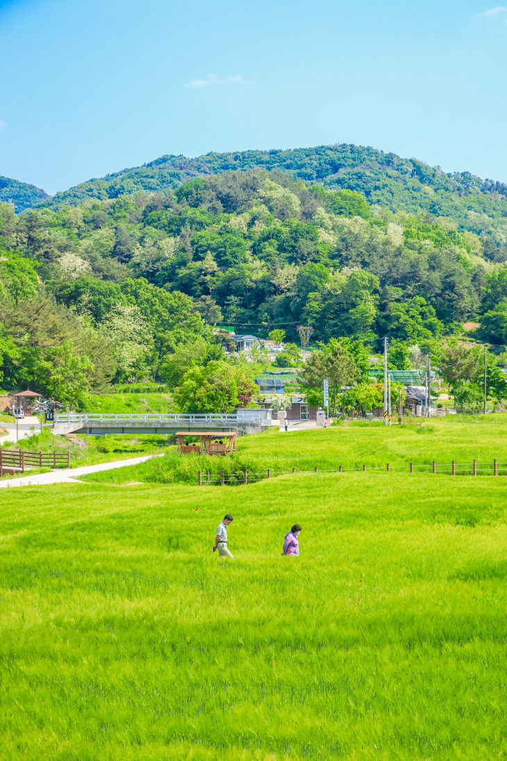 1. 대덕구, 상반기 사진 공모전‘수상작 선정 발표