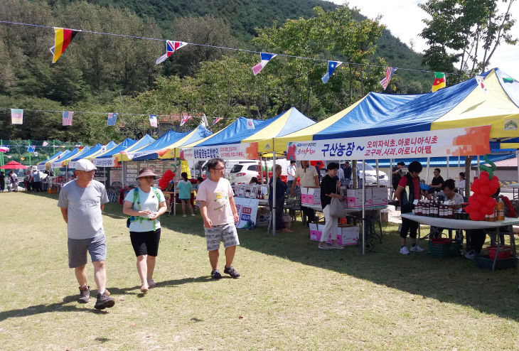 함양 백전오미자축제