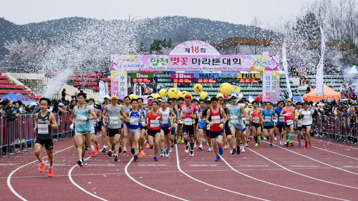 합천군, 합천벚꽃마라톤대회(2019년 대회 개최 사진)