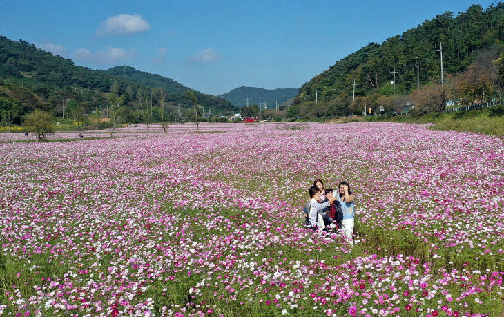 고향 정읍, “장금이 정원으로 꽃 구경 오세요” (1)