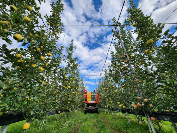 2개지구 국비 확보) (2)