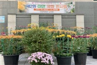국화2