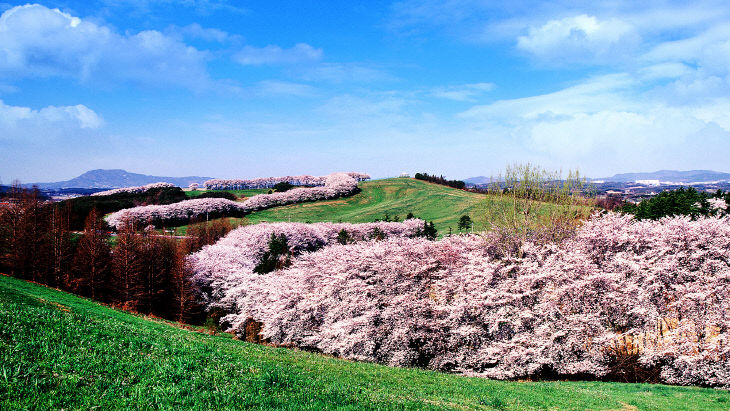 서산 한우목장 전경