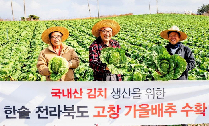 한솥_고창 가을배추 수확