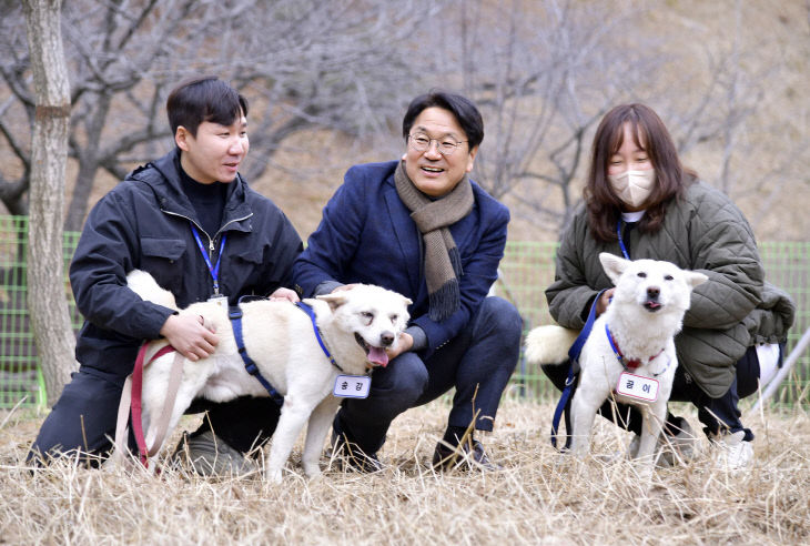 풍산개 곰이송강 맞이-2