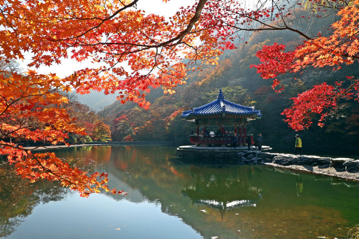 내장산국립공원, ‘한국 관광 100선’ 선정4(가을)