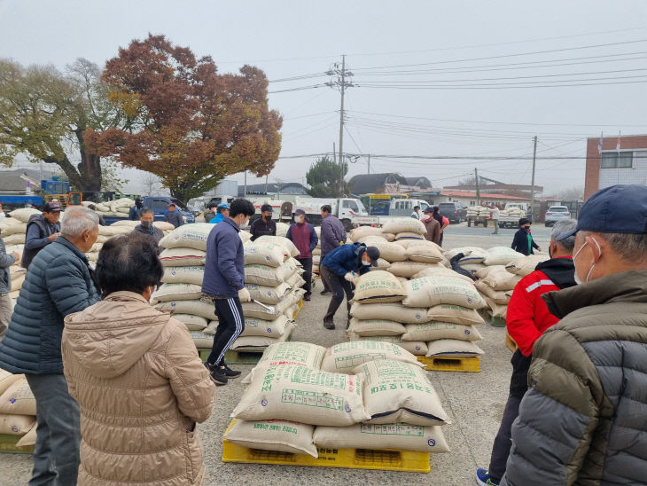 사진2)공공비축미곡 매입 모습-군서면(11월9일)