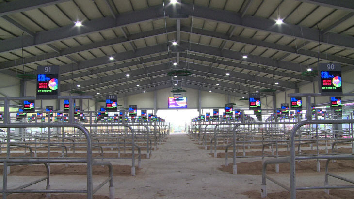 보은가축시장 경매장