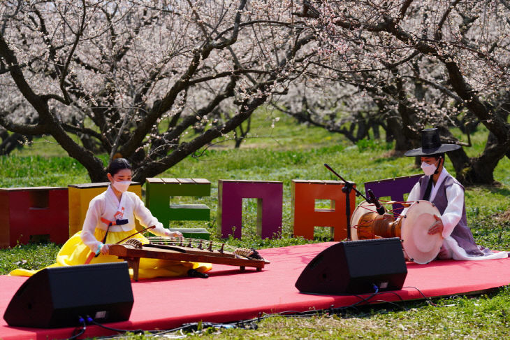 13-땅끝매화축제 랜선 공연 DSC04926