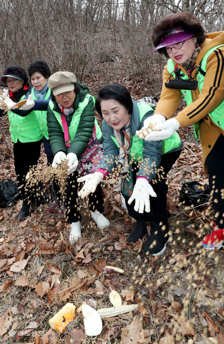 20230217-야생동물 먹이주기1