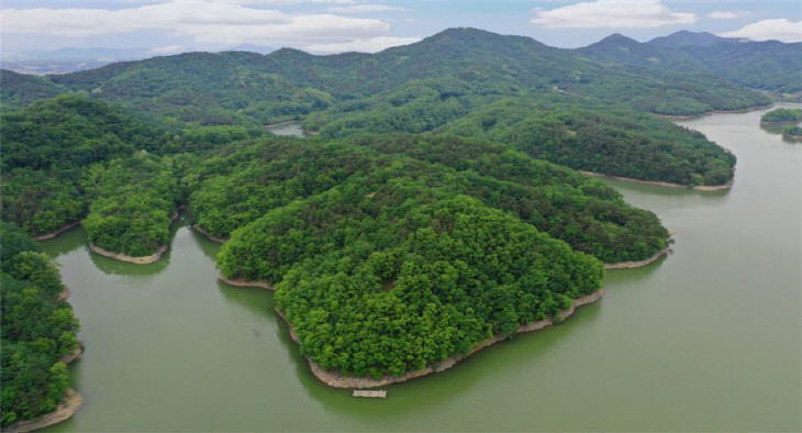 음성군, 맹동치유의 숲 본경 조성 추진