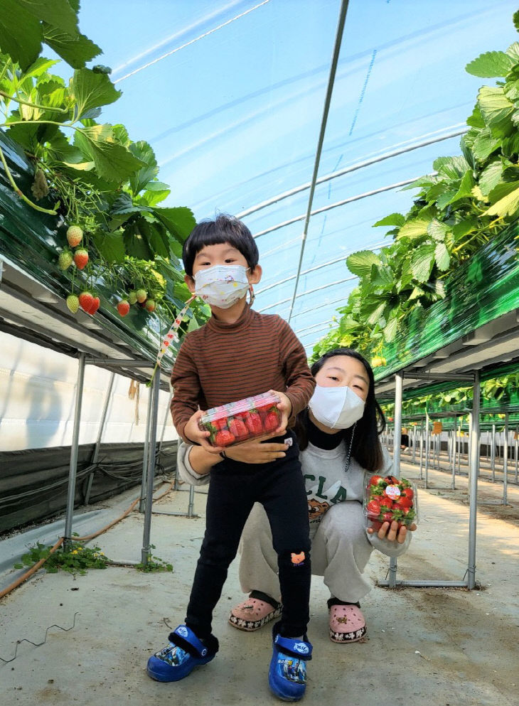 3월 논산(한국) 허민지 - 논산 딸기 축제1