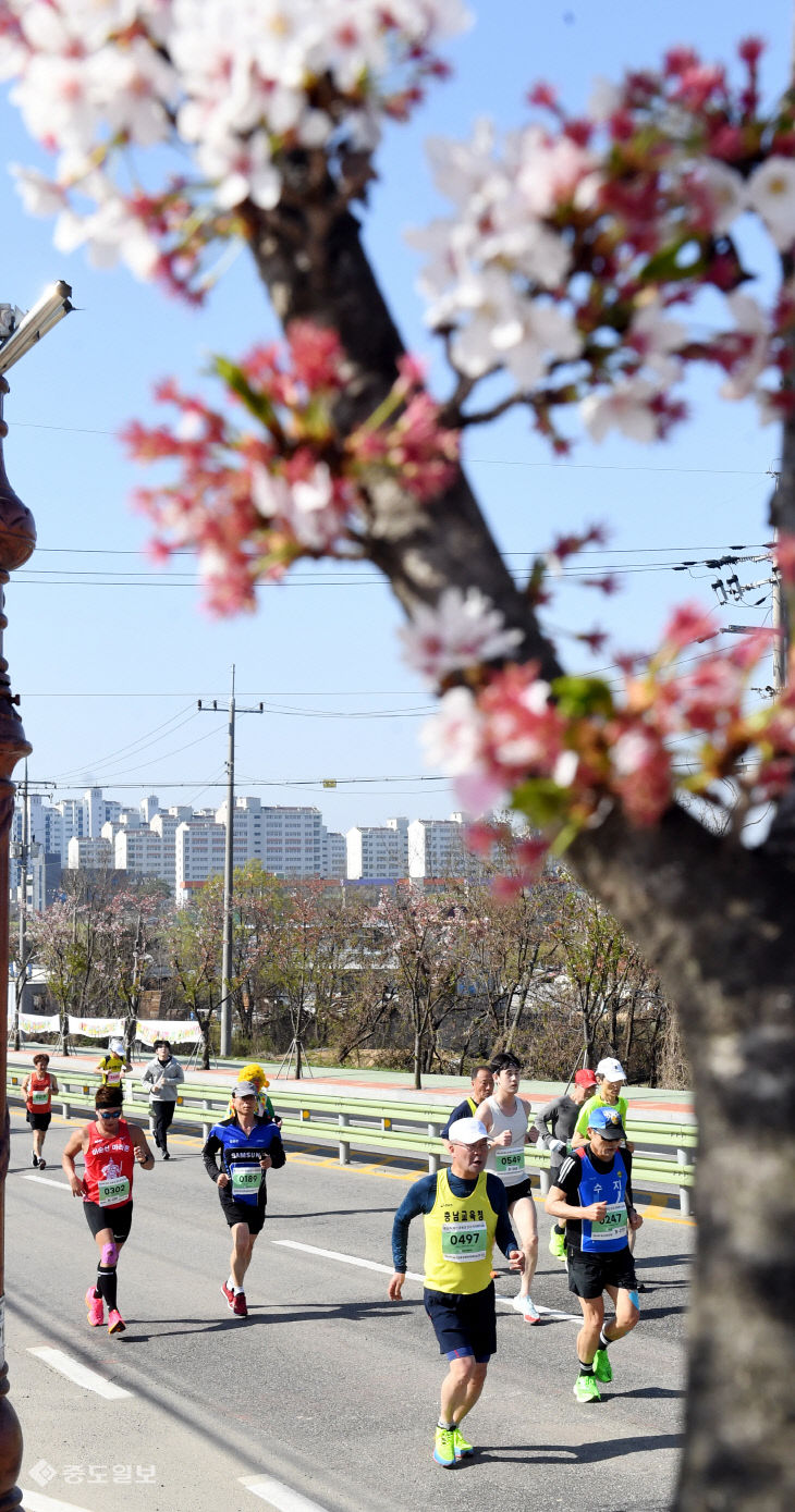 20230409-예산 윤봉길 전국마라톤대회16