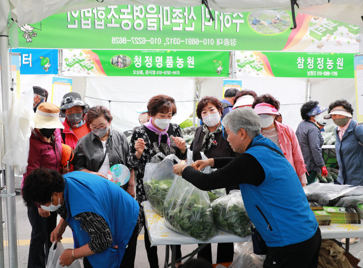 영양 산나물축제 (1)